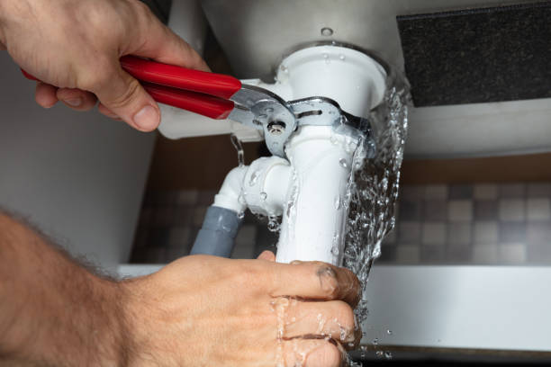 Best Water damage restoration near me  in Lauderdale, MN