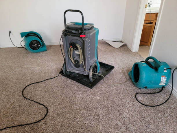Fire Damage Restoration in MN