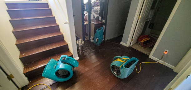 Best Carpet water damage restoration  in Lauderdale, MN