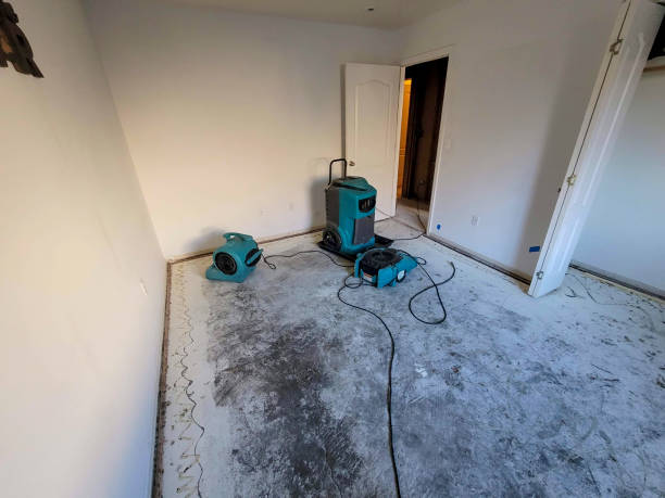 Best Basement water damage restoration  in Lauderdale, MN