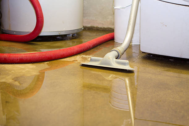 Best Water damage contractors near me  in Lauderdale, MN